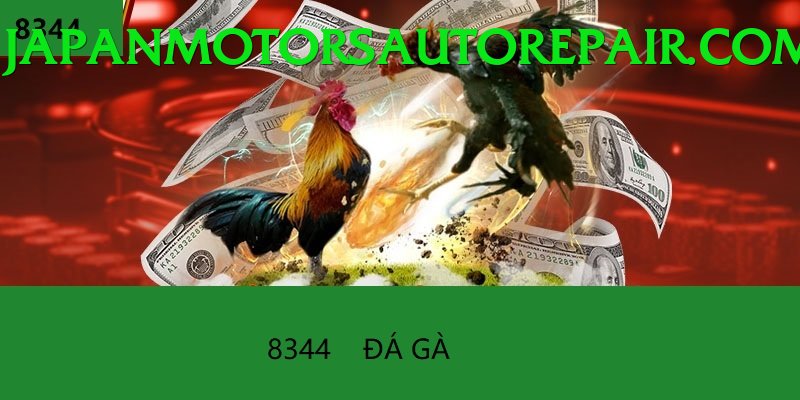 Đá Gà Trực Tiếp - Nohu90