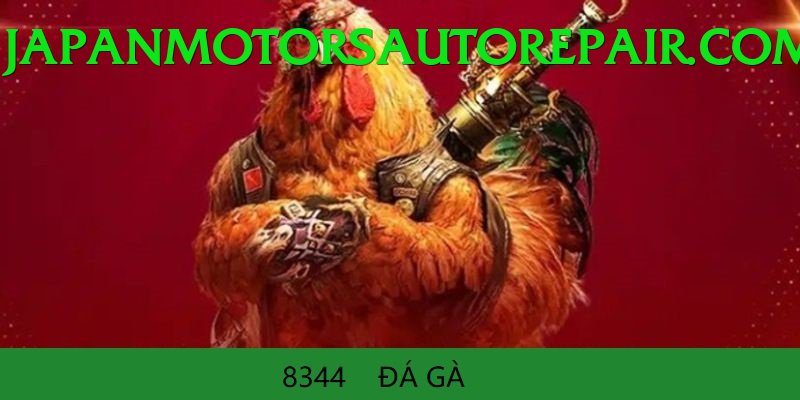 Đá Gà Trực Tiếp - Ưu đãi đặc biệt